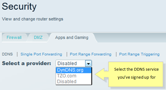 Select DDNS Service Provider